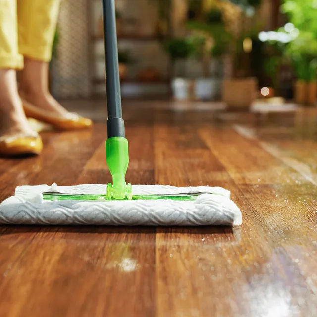 serpillère sur le sol